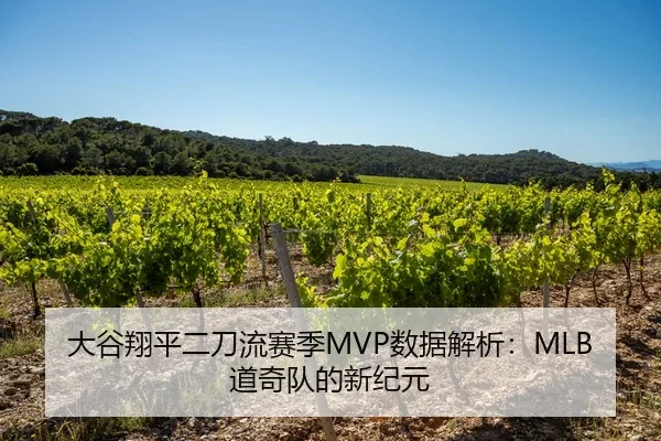 大谷翔平二刀流赛季MVP数据解析：MLB道奇队的新纪元