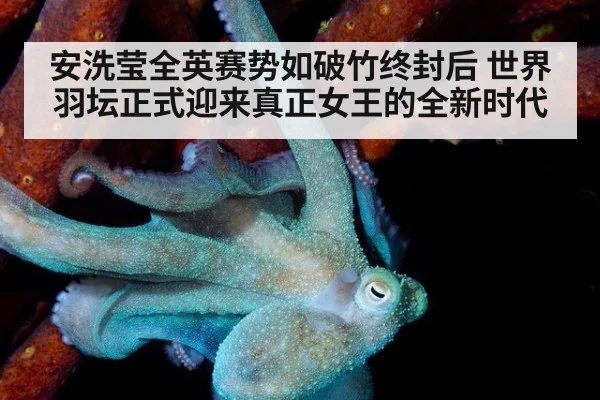 安洗莹全英赛势如破竹终封后 世界羽坛正式迎来真正女王的全新时代